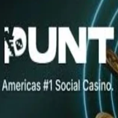 Punt.com logo
